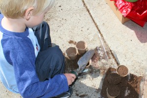 Little boy adding dirt to seed pots