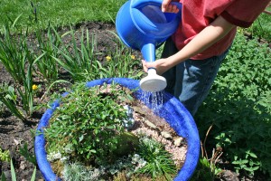 Filling the gnome garden pond