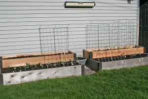 Two-level raised garden beds