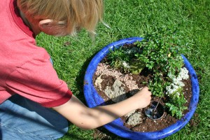 Adding a rock path to the gnome garden