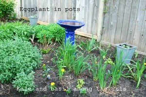 Flower bed with veggies