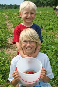 Two boys with u-pick strawberries.