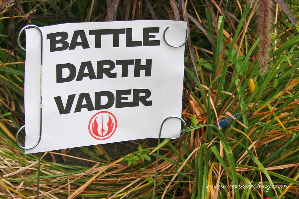 Battle Vader Sign