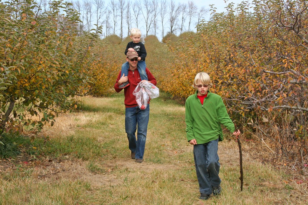 apple hunders