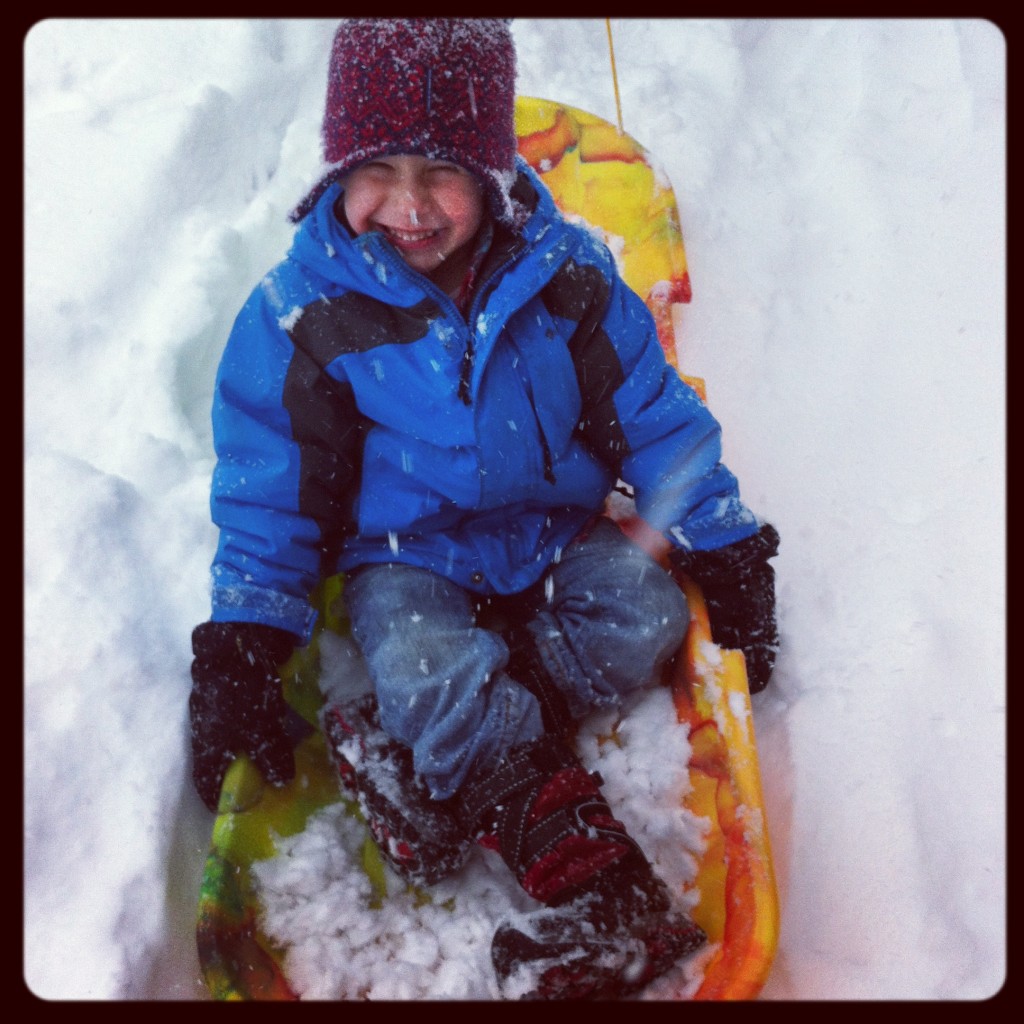 noah on sled