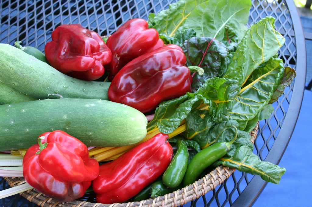 five ideas for urban vegetable gardening