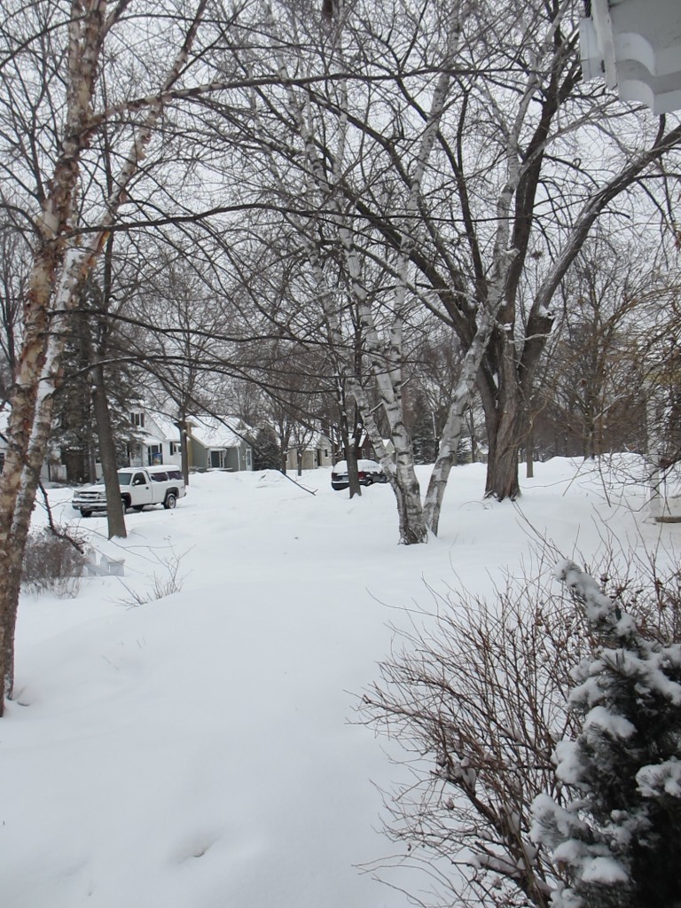 Minnesota in March