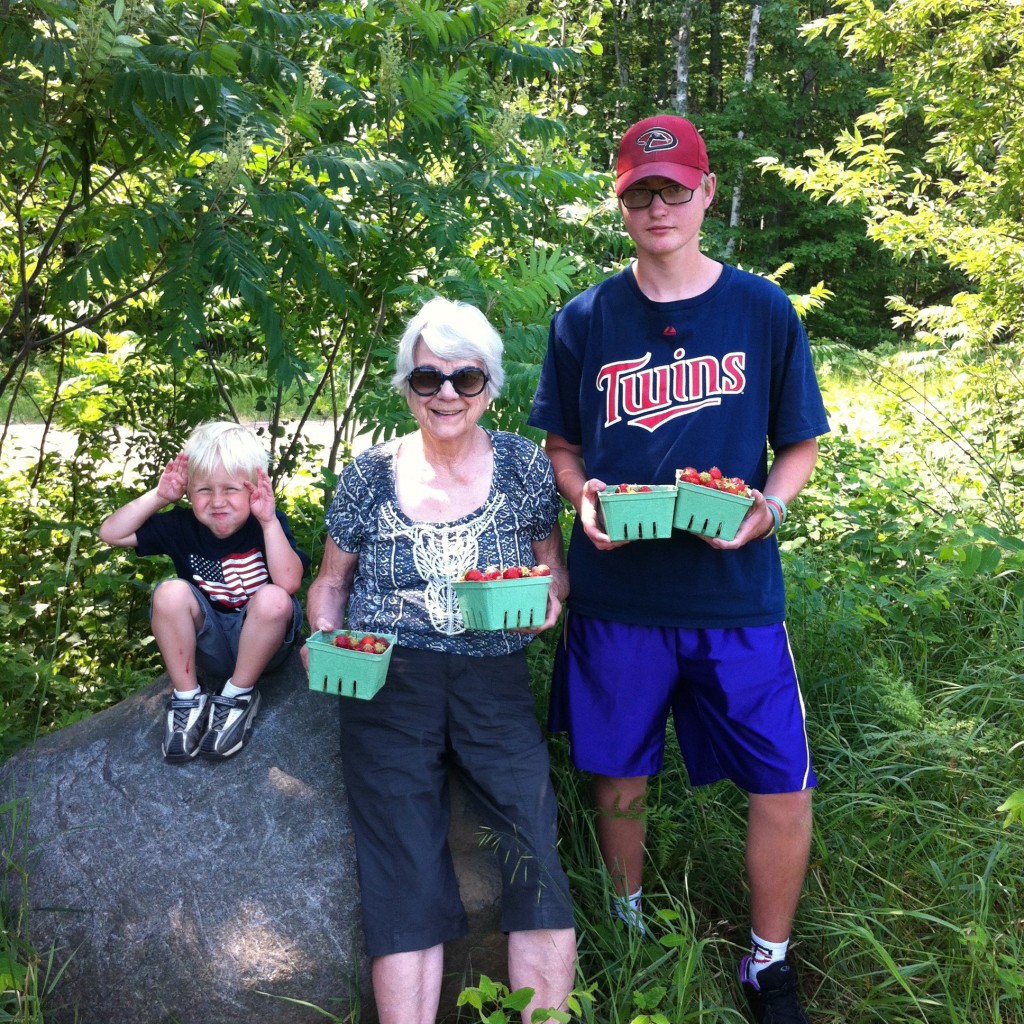 strawberry picking