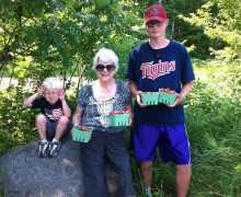 strawberry picking