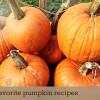 Four favorite pumpkin recipes from Borealis Blog