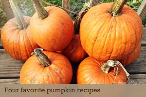 Four favorite pumpkin recipes from Borealis Blog