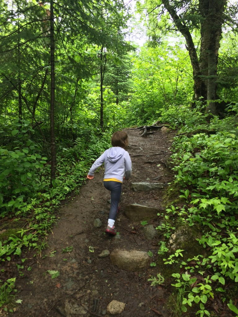 kawishiwi falls hiking trail