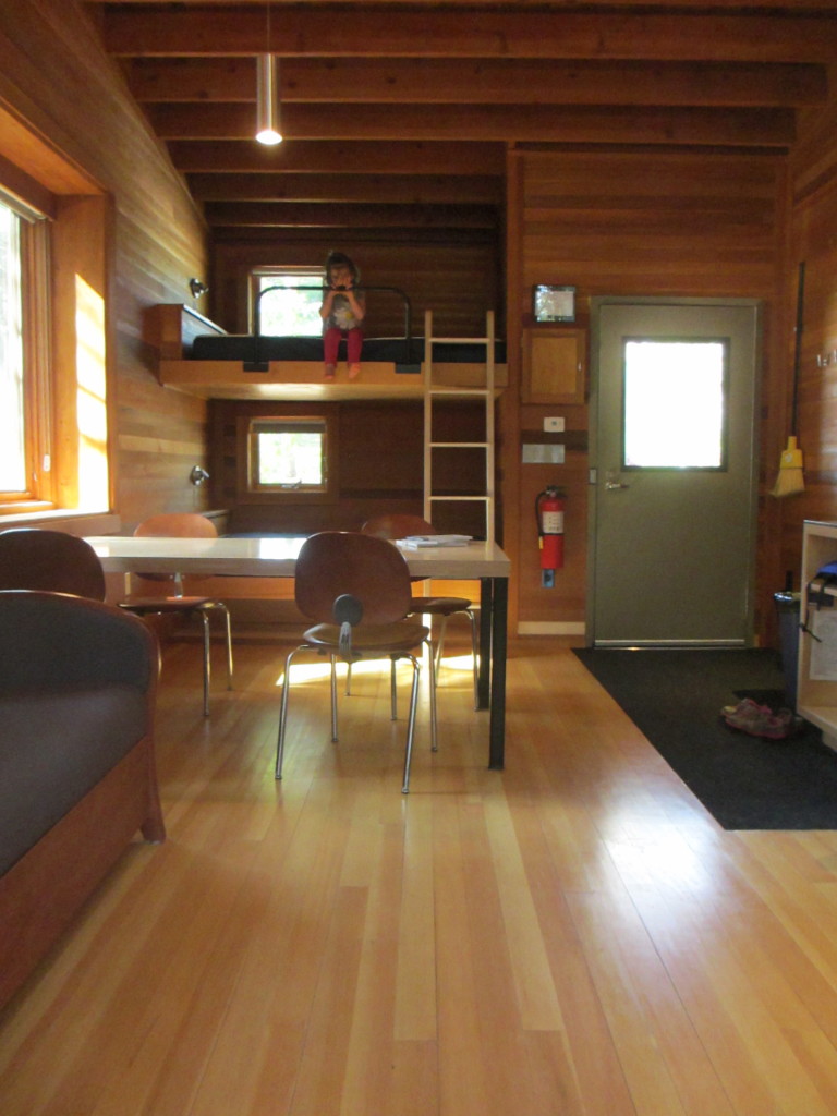 whitetail woods cabin interior