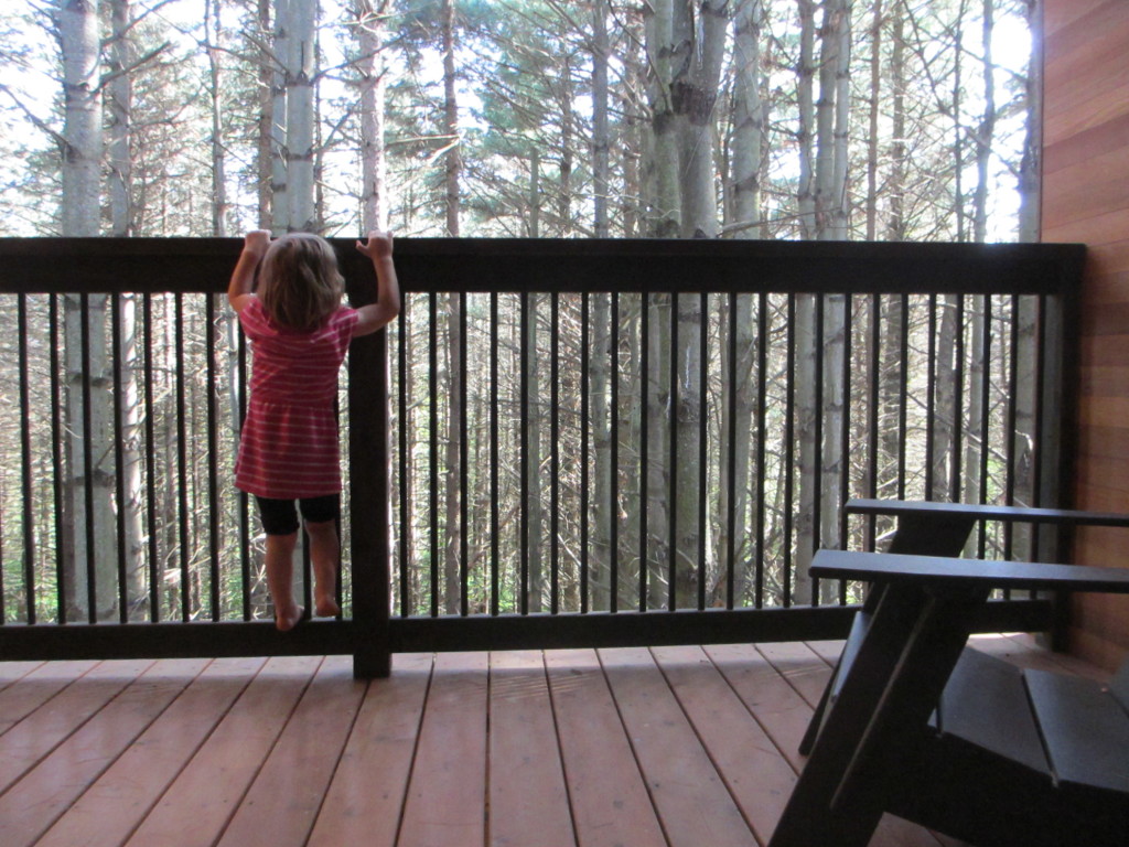 whitetail woods porch