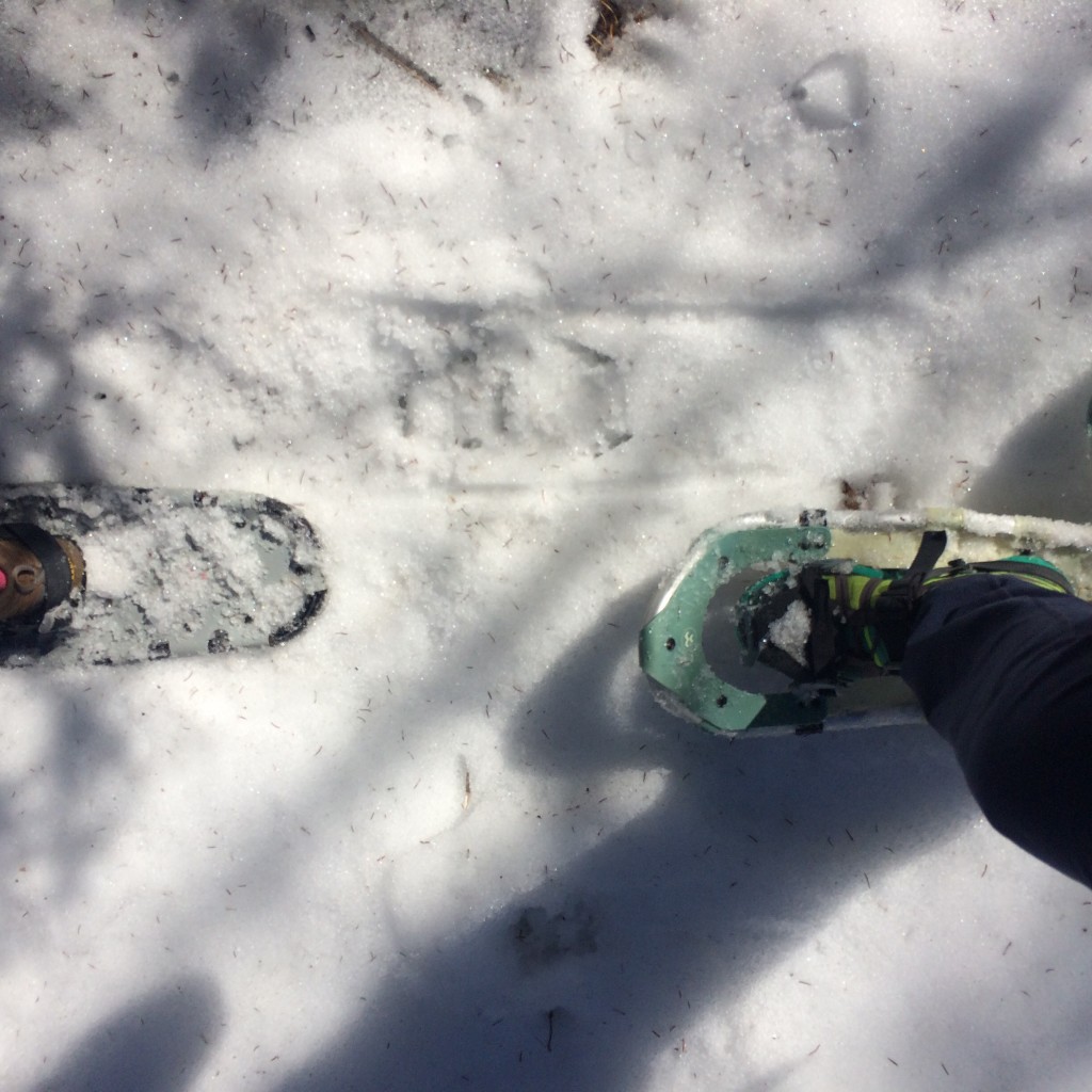 Snowshoeing at Tettegouche State Park