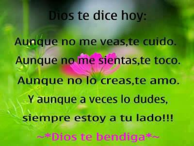 En Donde Puedo Comprar Ivexterm